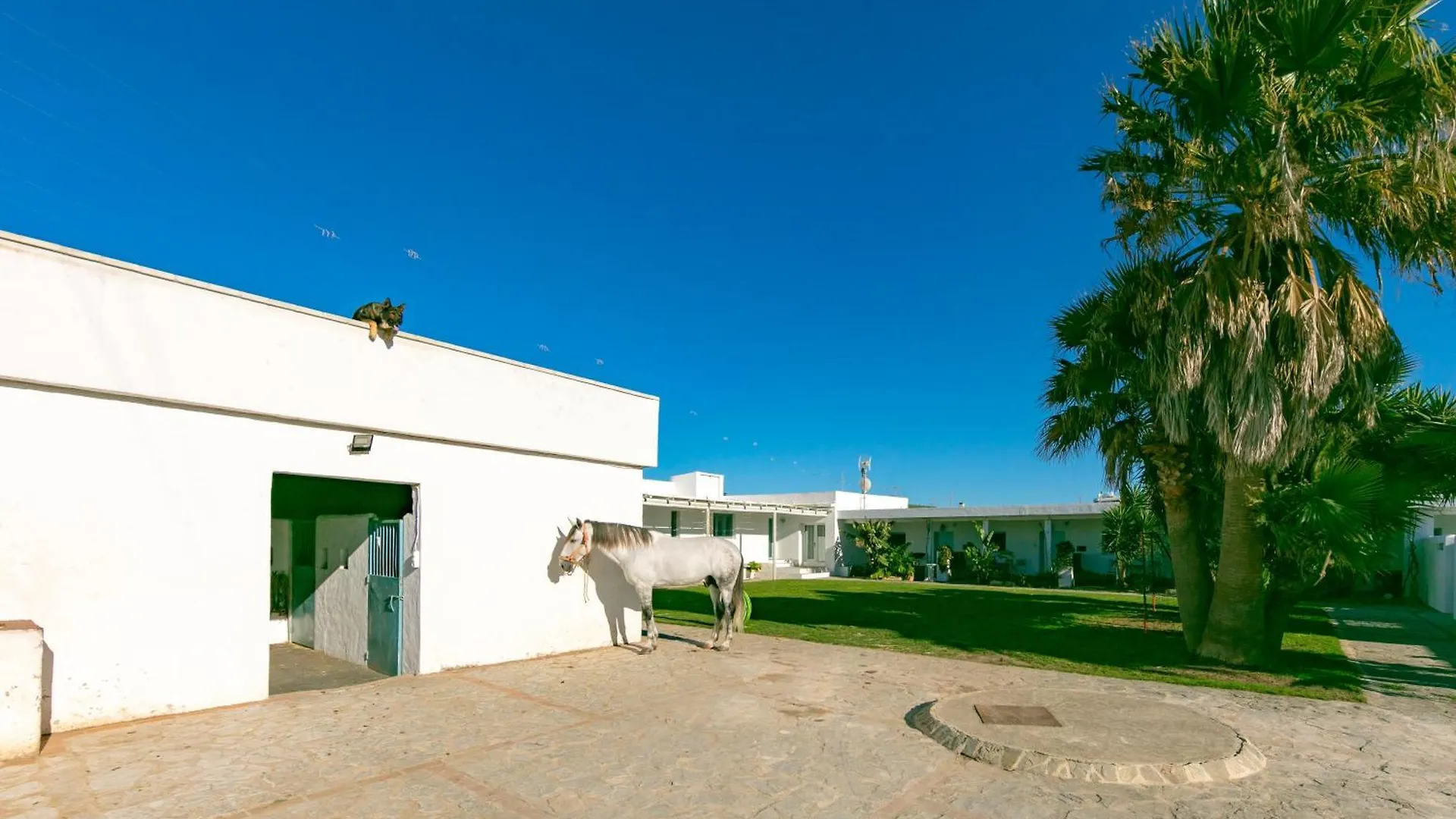 Casa Rural La Vega 1 En Tarifa Villa Holiday home