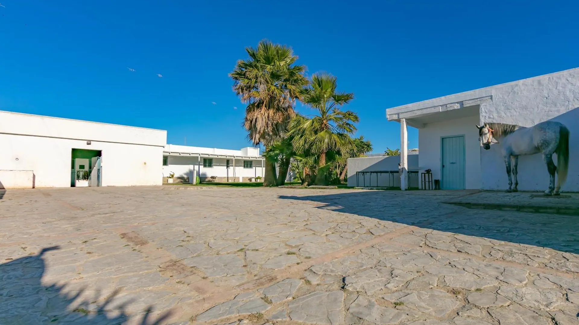 فيلا Casa Rural La Vega 1 En طريفة بيت للعطل