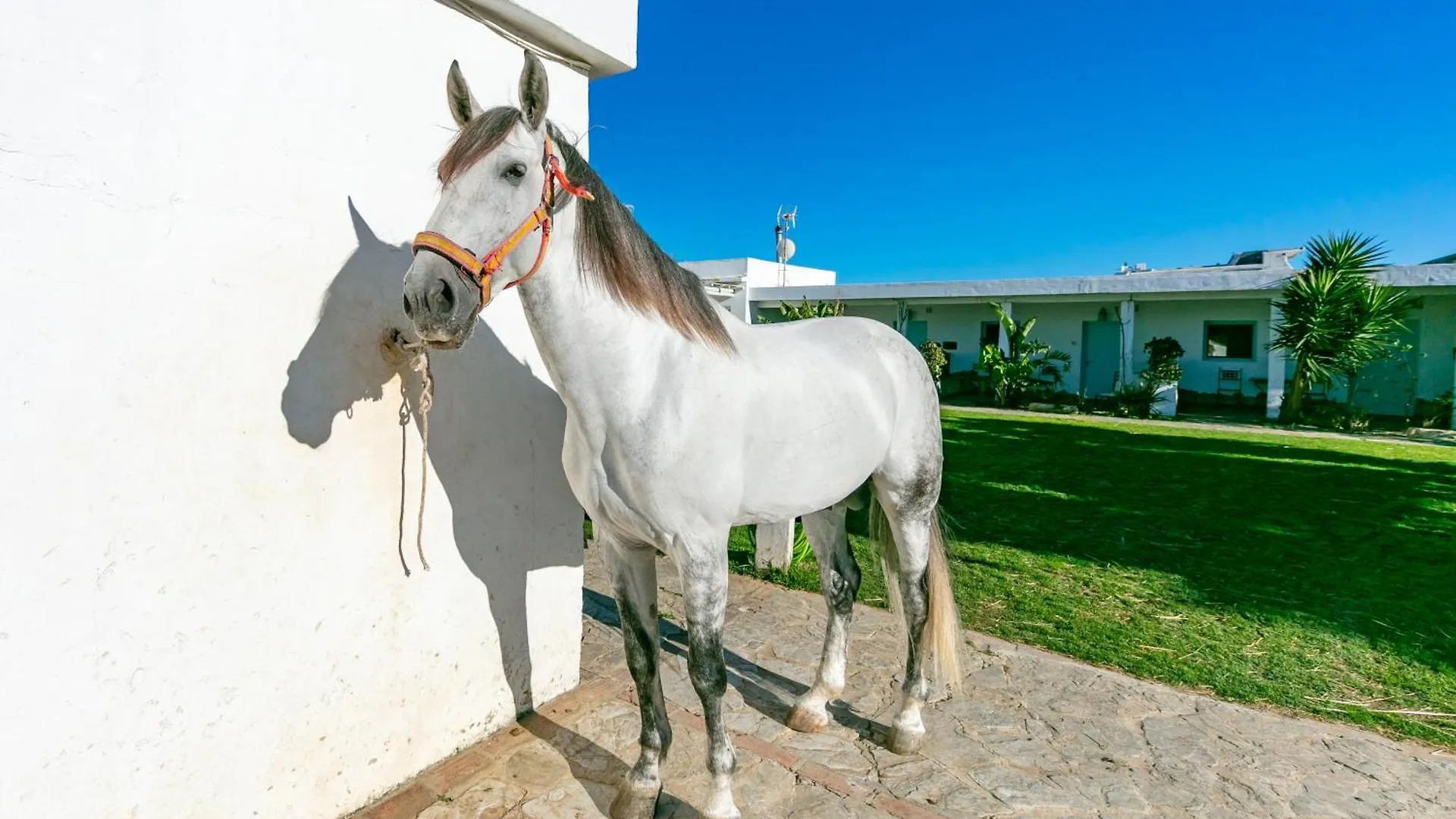 Holiday home Casa Rural La Vega 1 En Tarifa Villa Spain