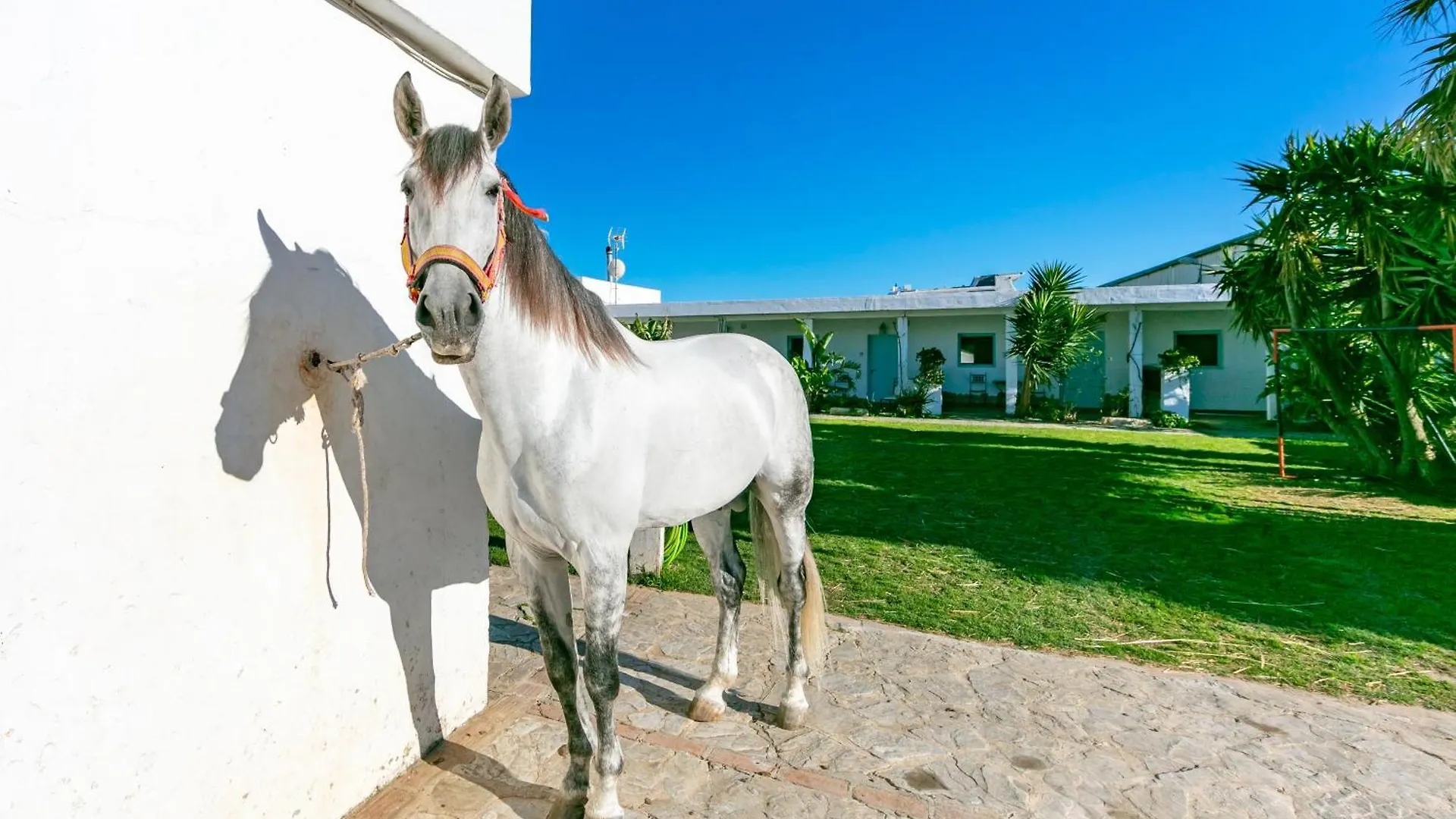 Holiday home Casa Rural La Vega 1 En Tarifa Villa